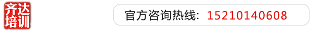 大黑骚逼齐达艺考文化课-艺术生文化课,艺术类文化课,艺考生文化课logo